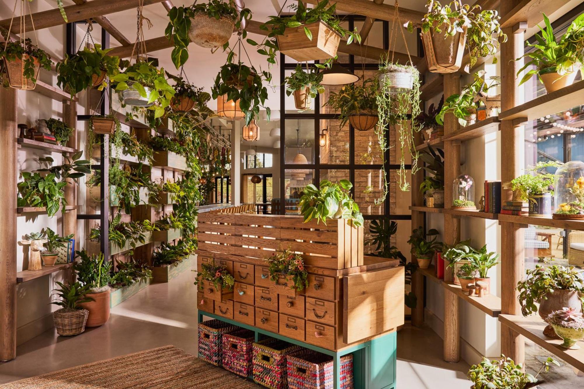 Treehouse Hotel Silicon Valley Sunnyvale Eksteriør bilde